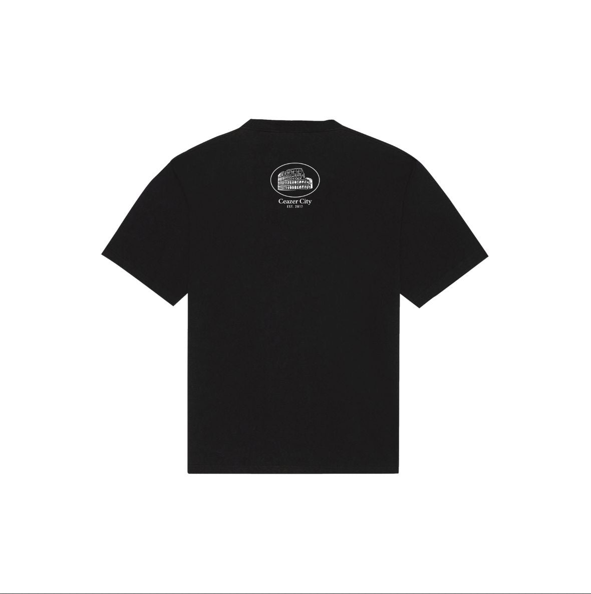 A Lifestyle inspired T-shirt